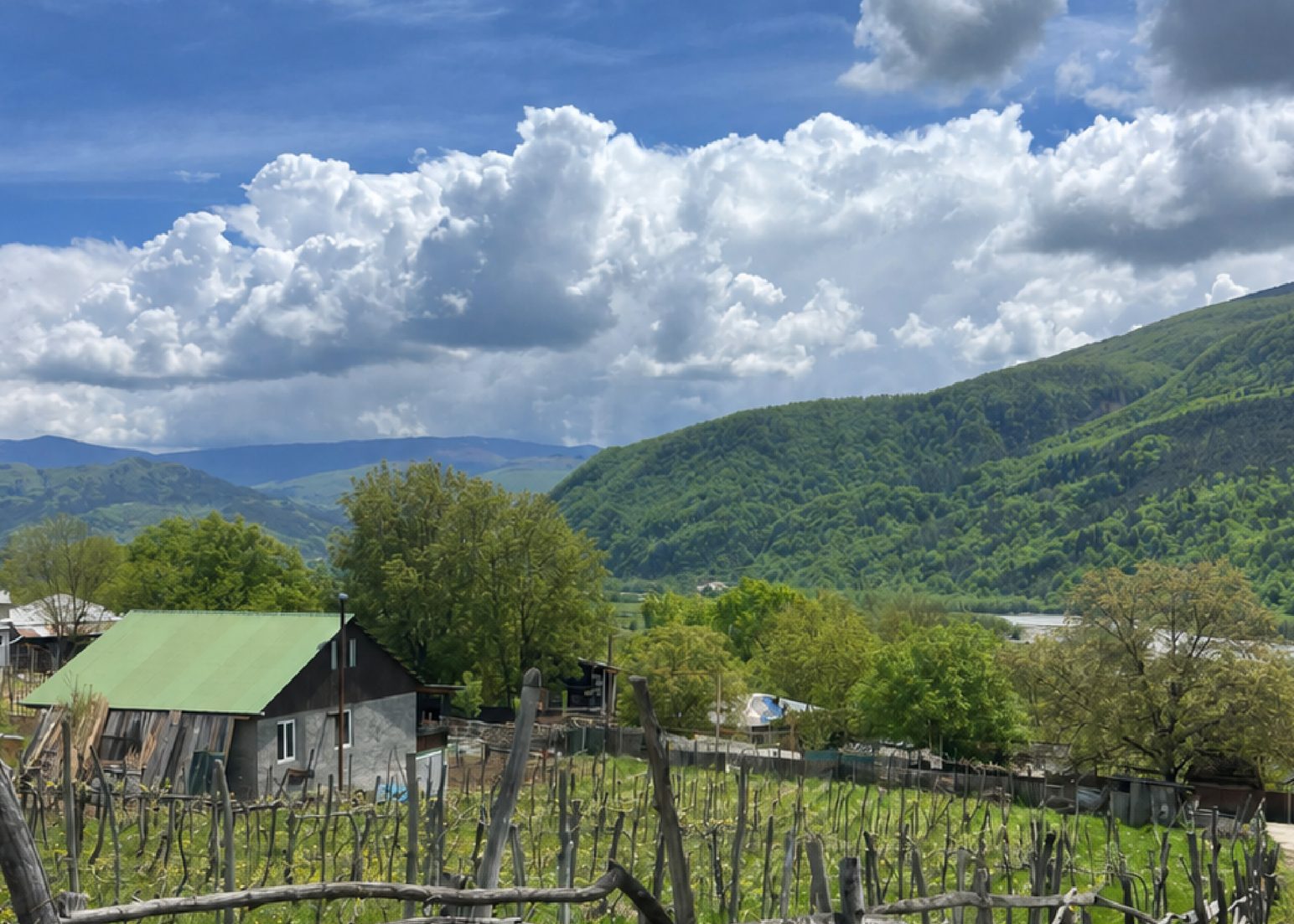 Racha hillside with a vineyard, wooden fence and clouds over the mountains